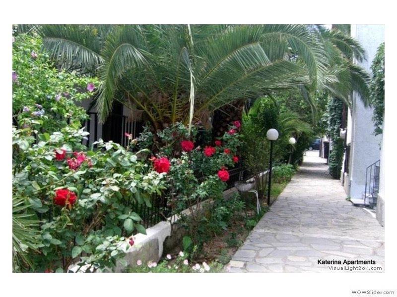 Katerina Apartments بيفكوهوري المظهر الخارجي الصورة
